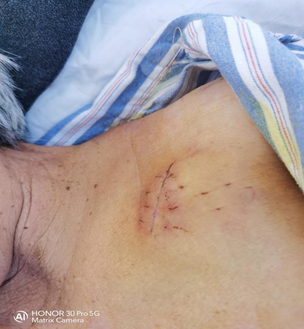 5d323cf77f2524969cb9f5fc204774d