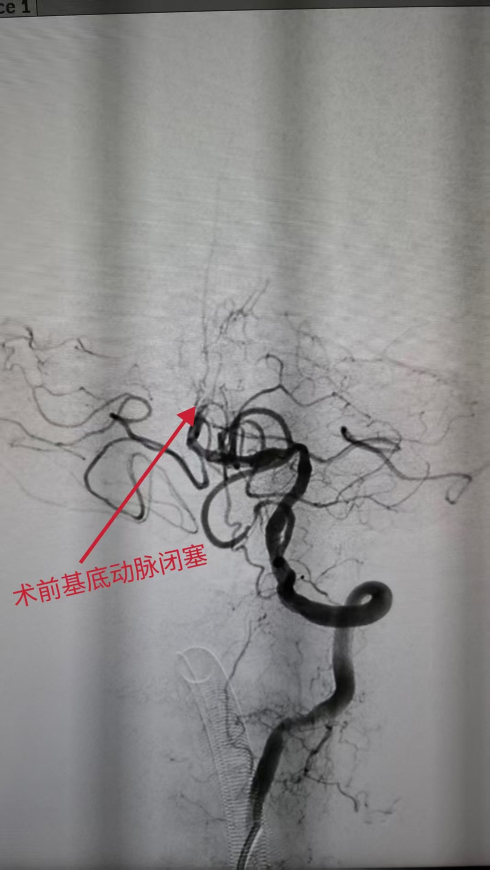 6b57410d6e1b50532041c3a11dda8dd