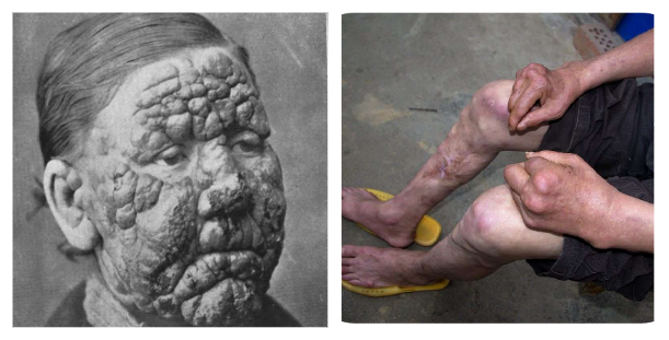 469629b7a24ce42e3df96784691251cd