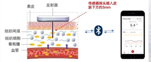74c2570ba21f4ff89bc8f5e612340393.jpg