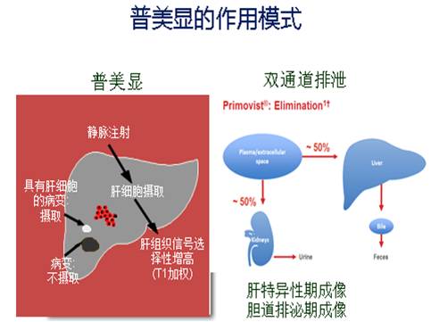 d5548a33463341ec94baf212fb63a486.jpg