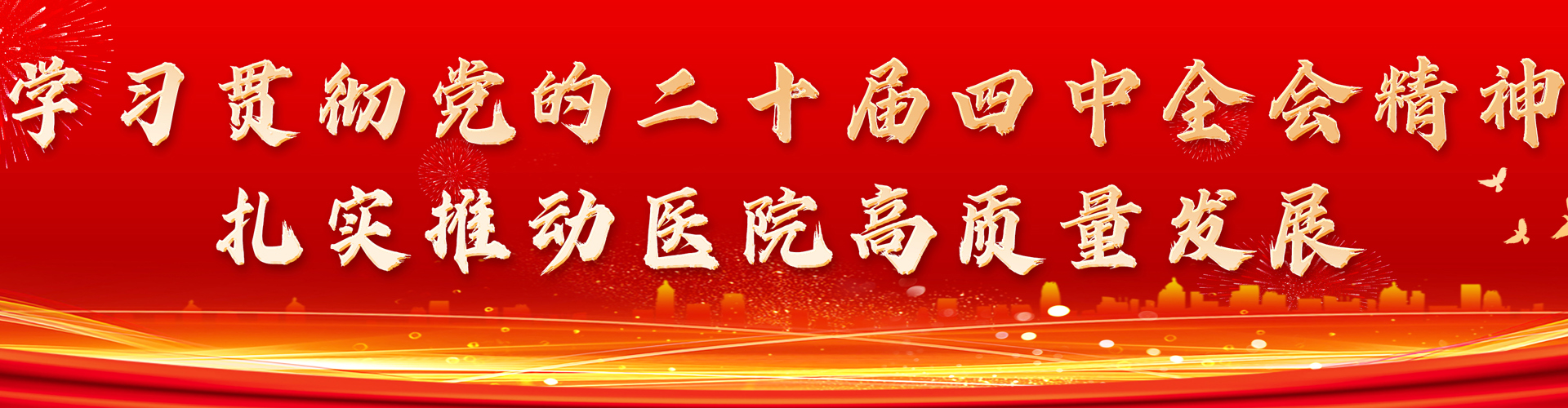 学习贯彻党的二十届四中全会精神